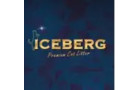 Iceberg