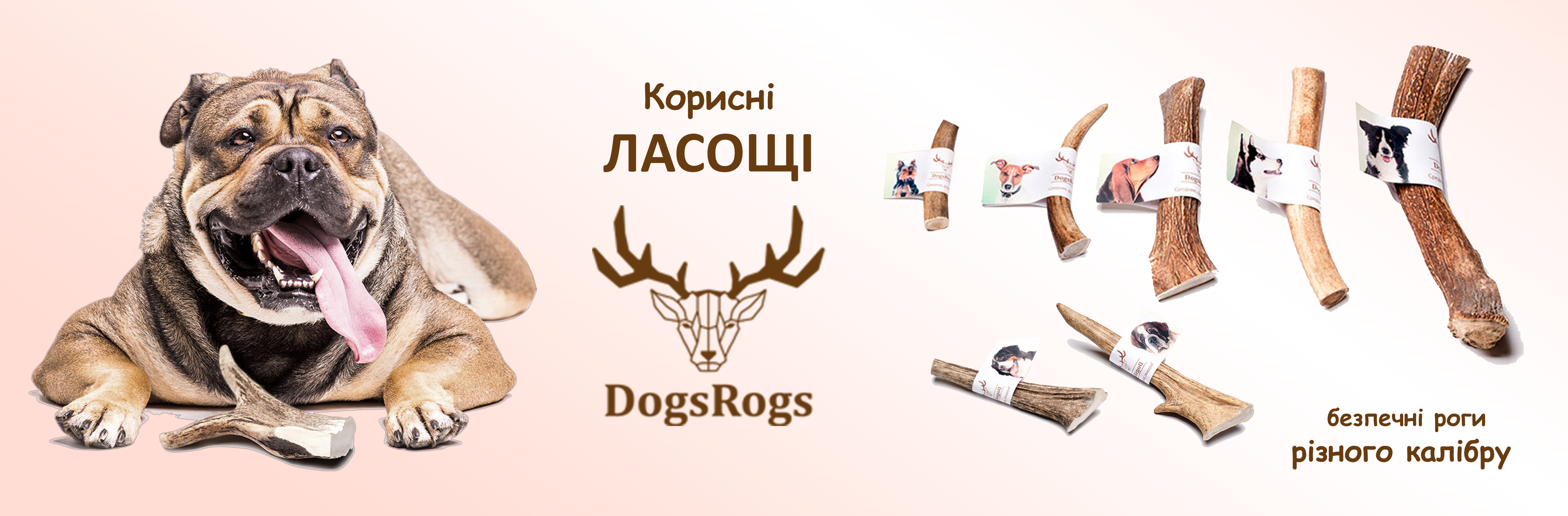 DogsRogs